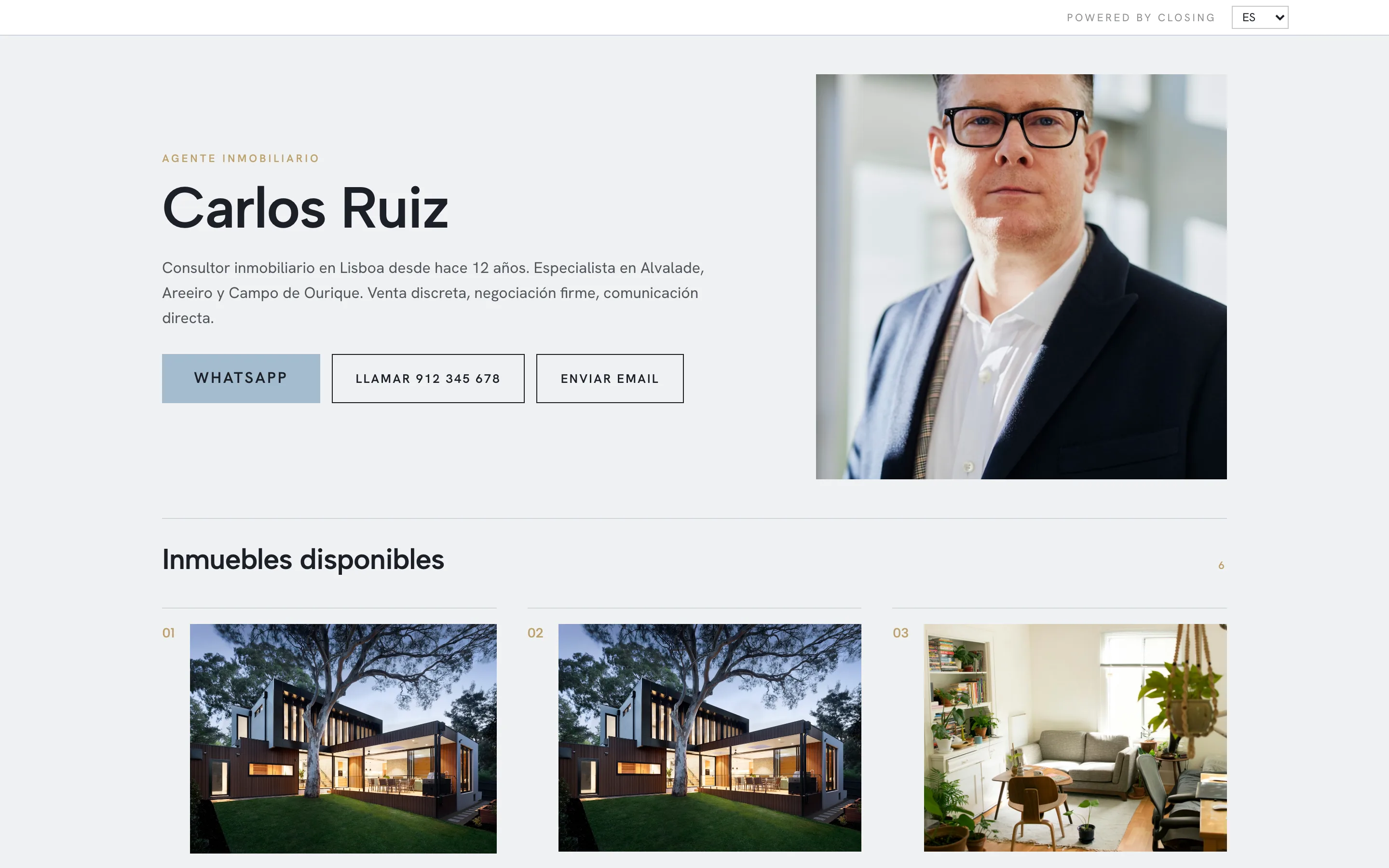 Ejemplo de web de consultor, estilo Instrument