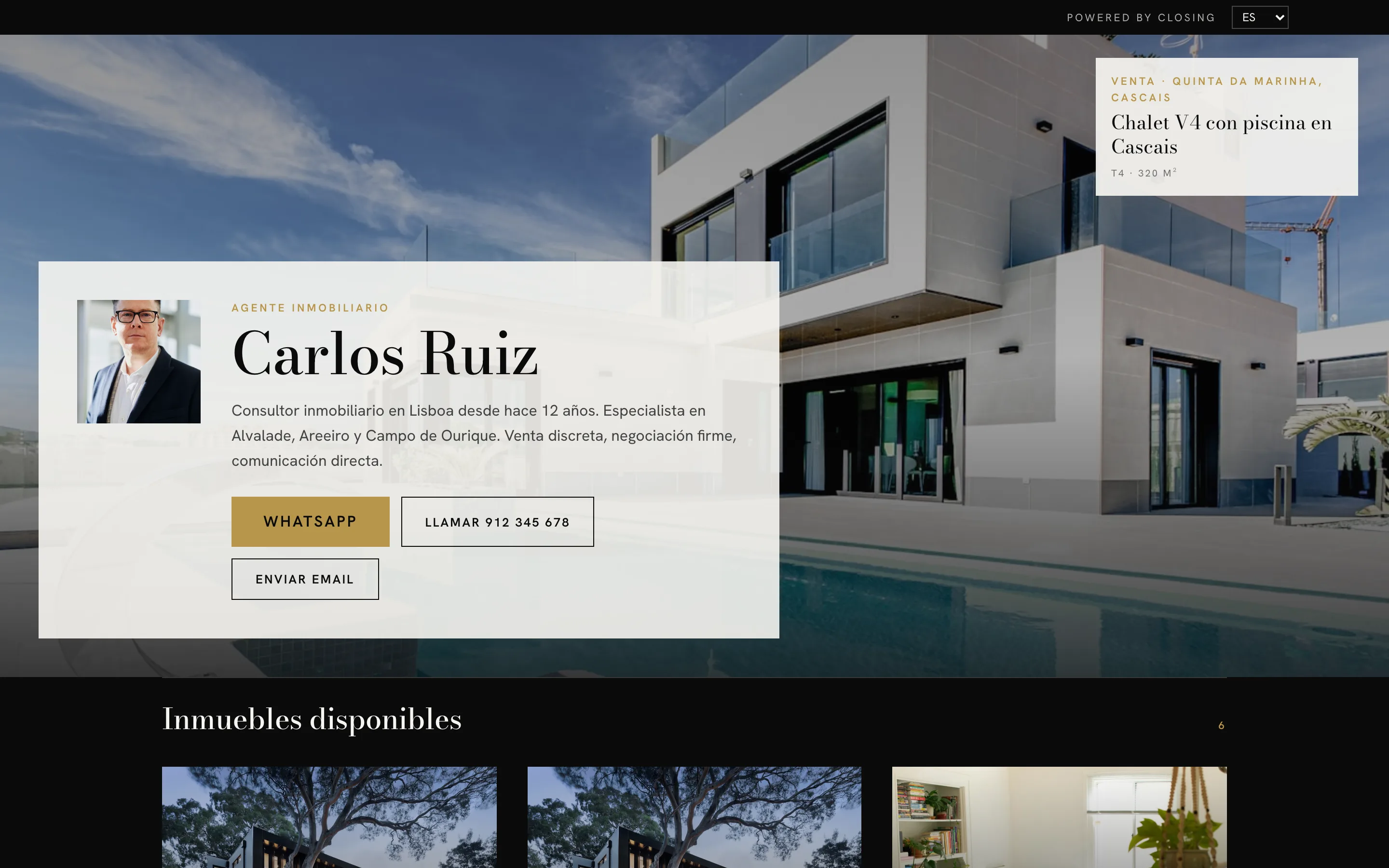 Ejemplo de web de consultor, estilo Inmersivo