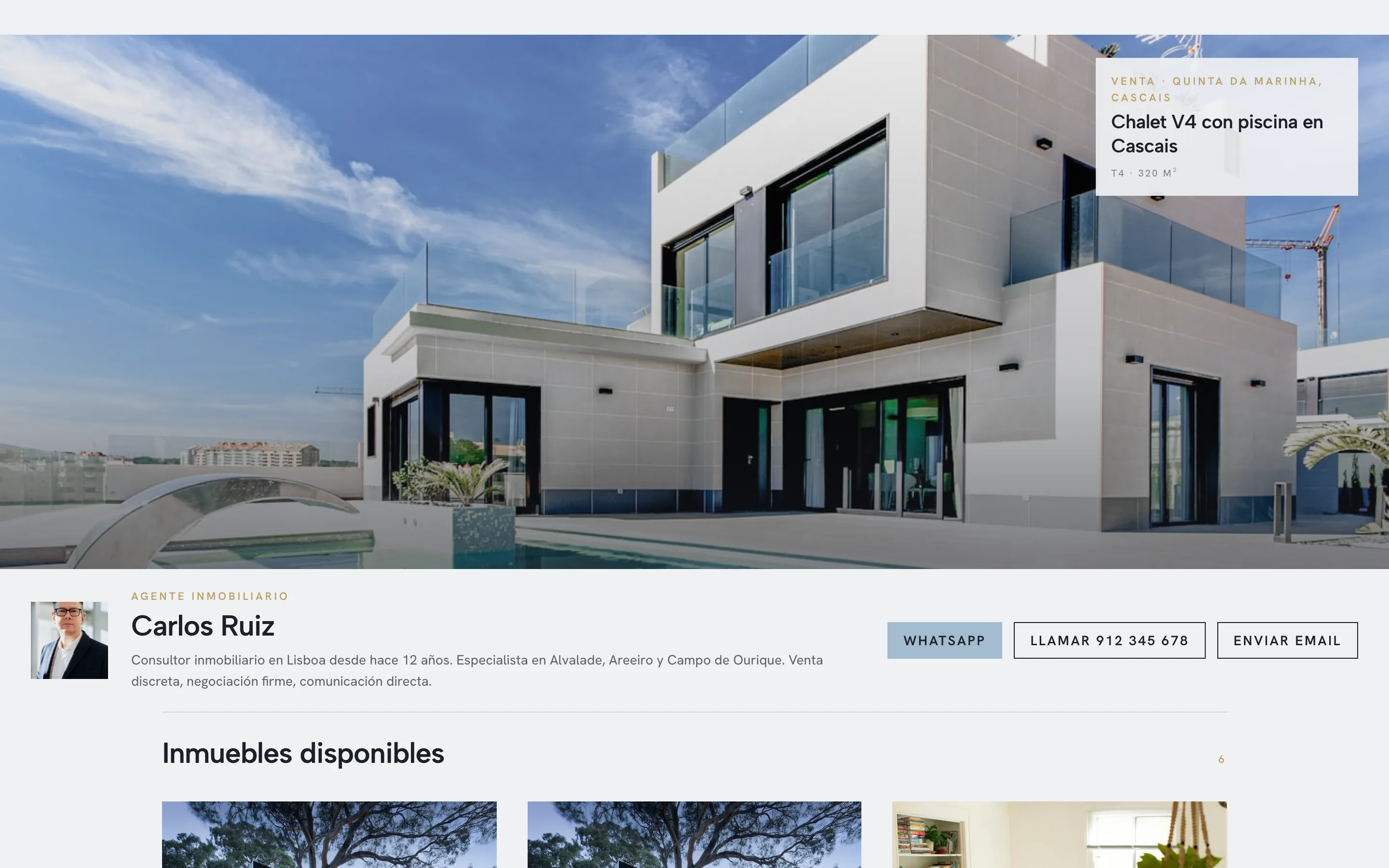 Ejemplo de web de consultor, estilo Portada