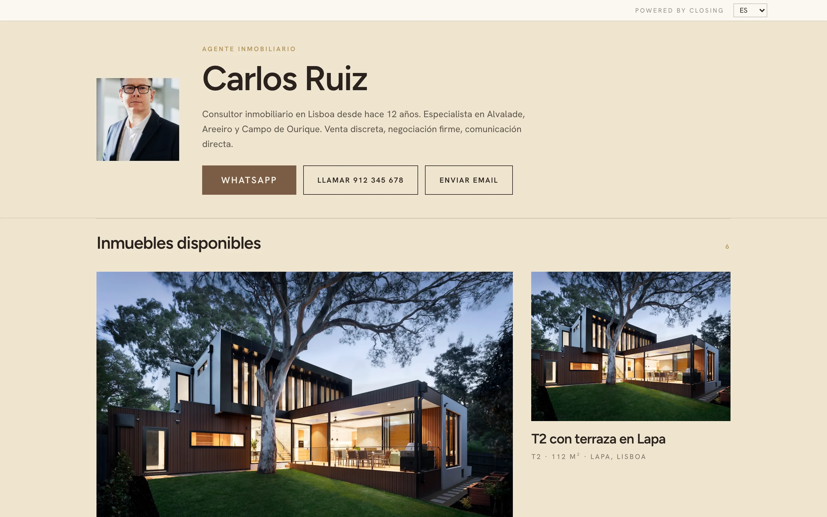 Ejemplo de web de consultor, estilo Mosaico