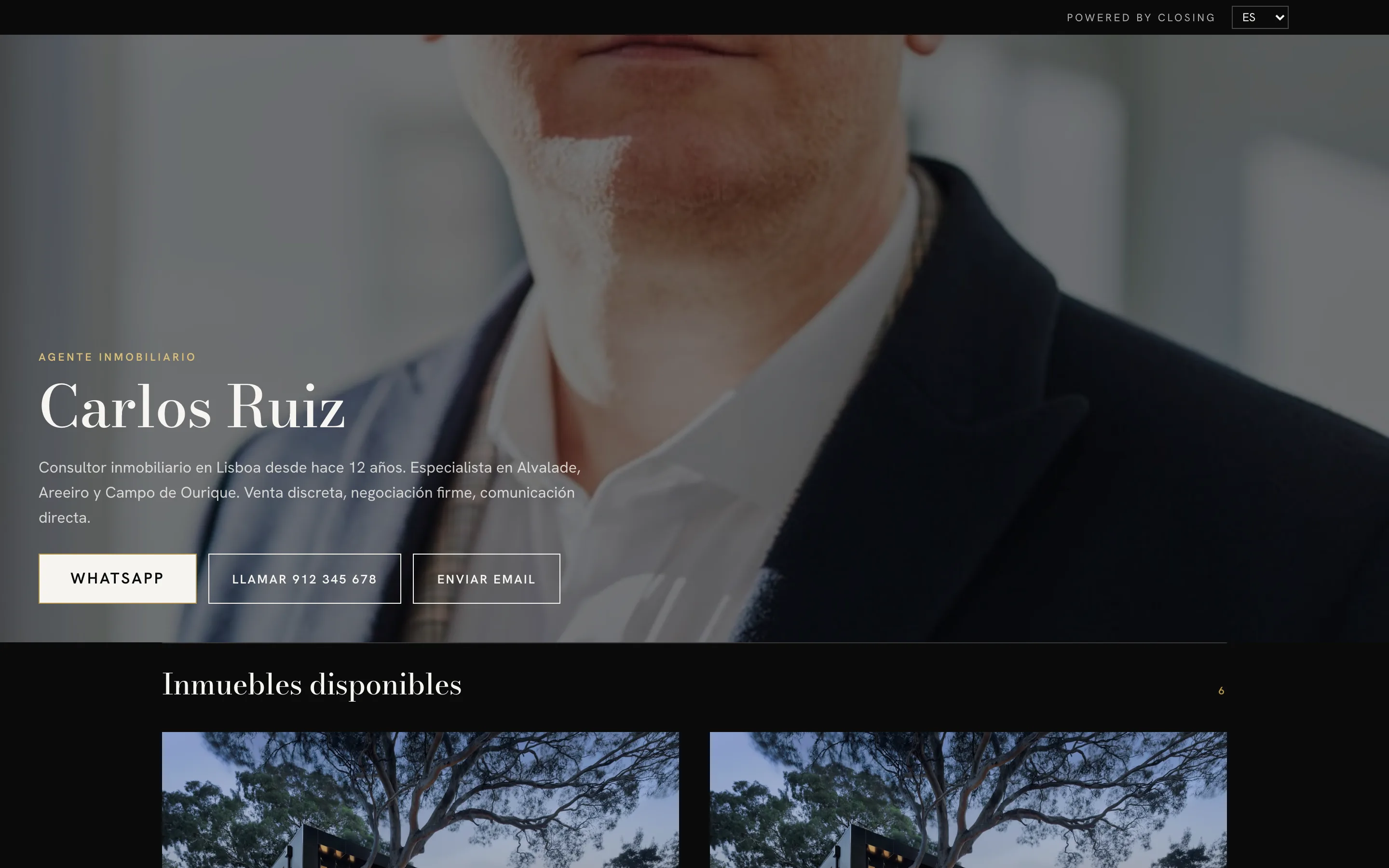 Ejemplo de web de consultor, estilo Retrato