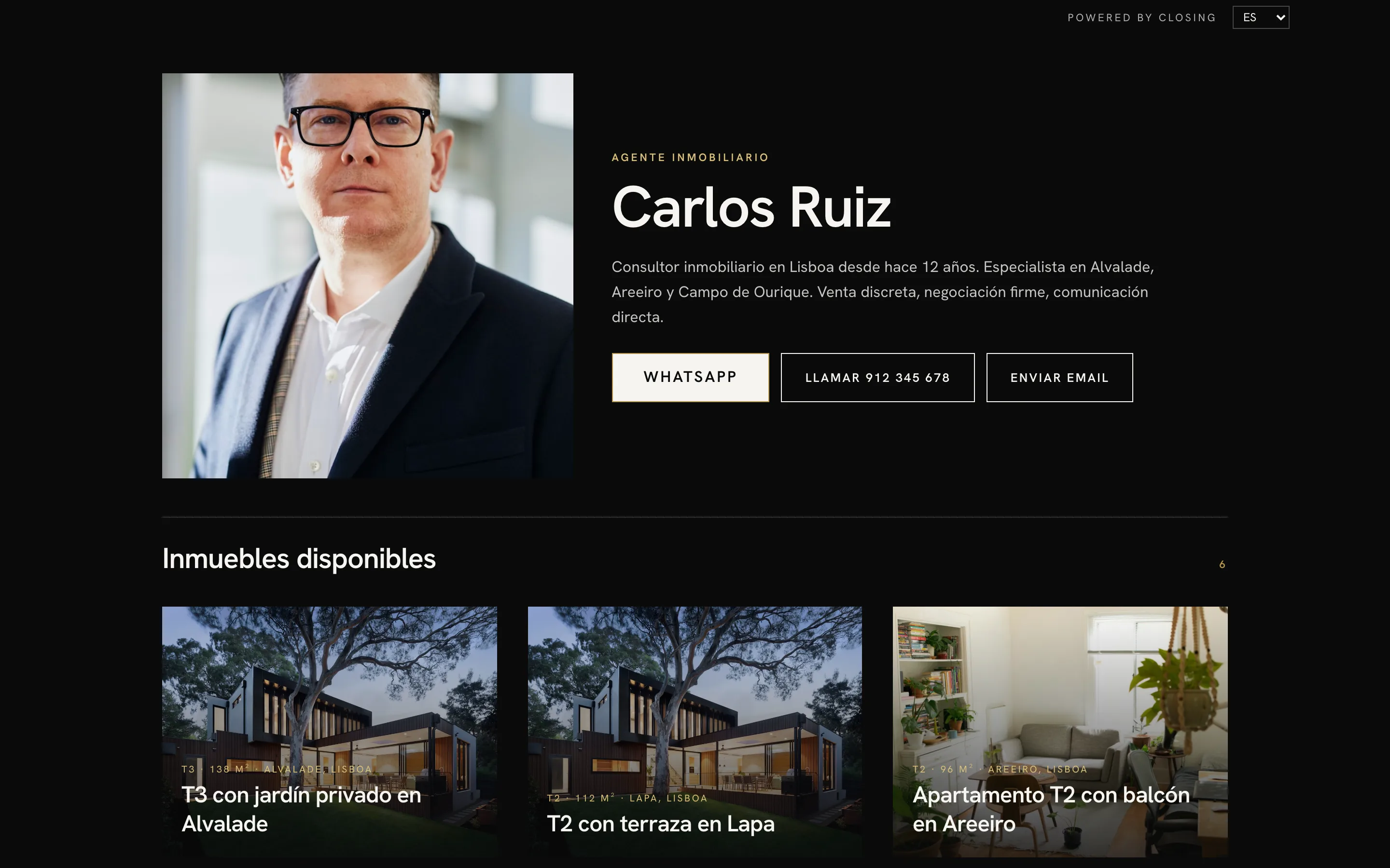 Ejemplo de web de consultor, estilo Cámara