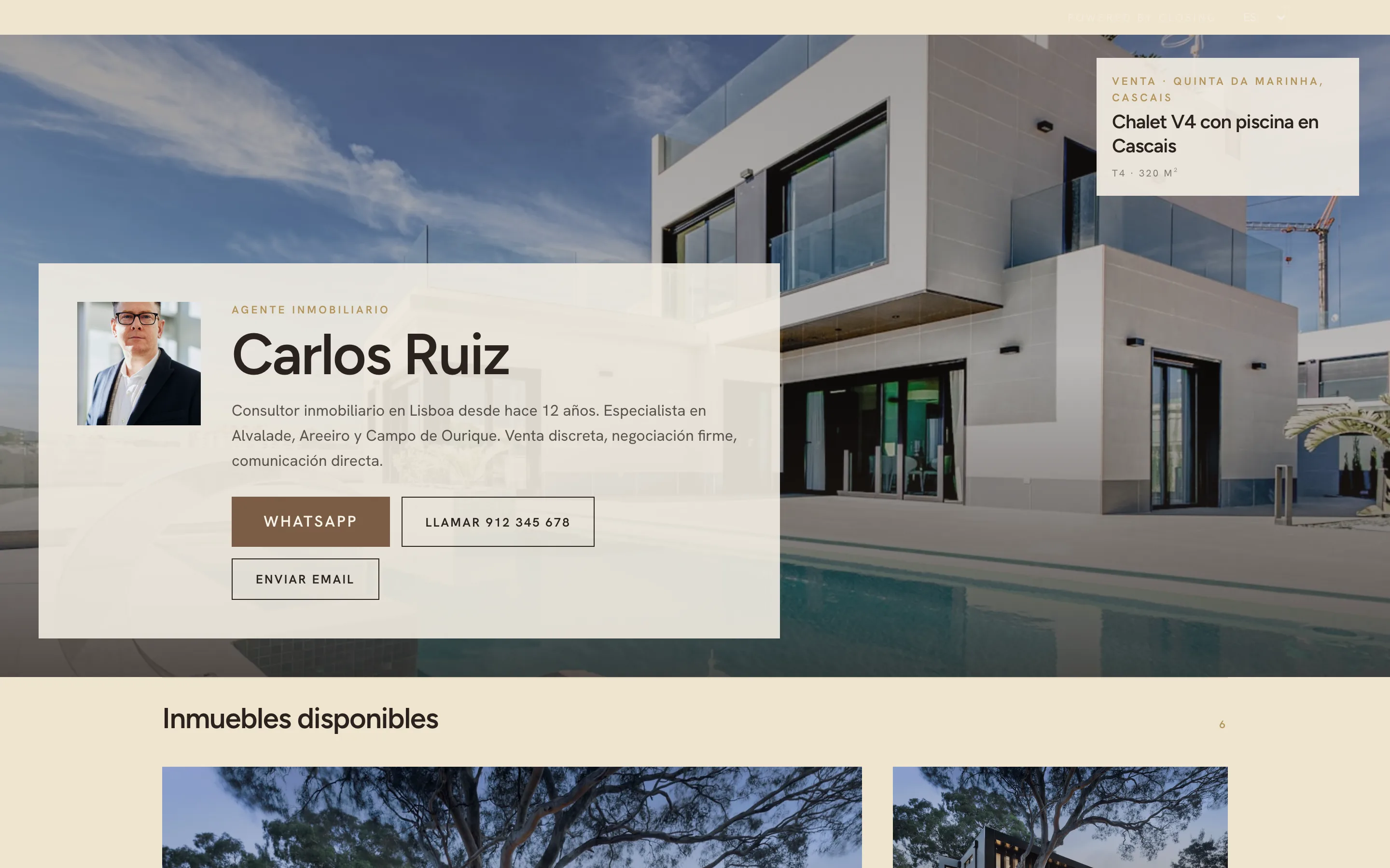 Ejemplo de web de consultor, estilo Cine