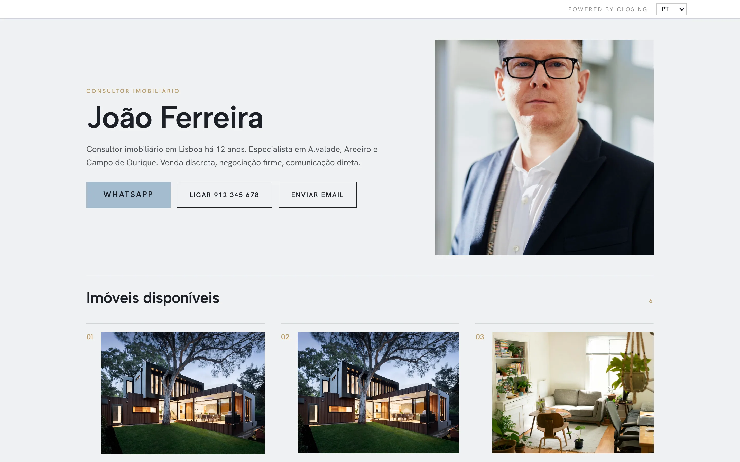 Exemplo de site de consultor, visual Instrumento